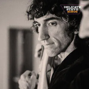 Delicate Steve sings